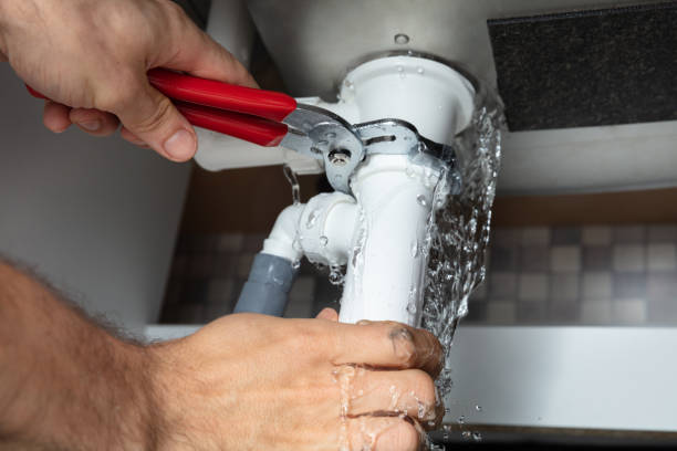 Best Residential water damage restoration  in Wells, NV
