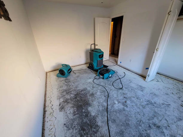 Best Emergency water damage restoration  in Wells, NV
