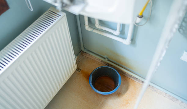 Best Water damage restoration services  in Wells, NV