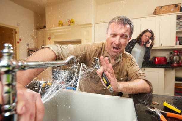 Best Basement water damage restoration  in Wells, NV